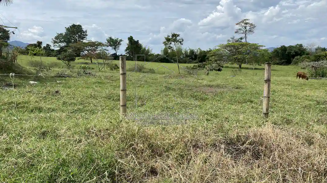 Lotes Iguazú